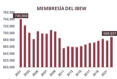 Miembros perdidos 